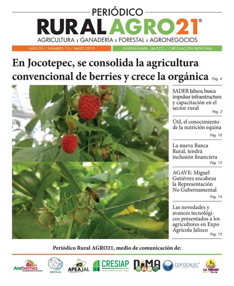 notícias agrícola-4